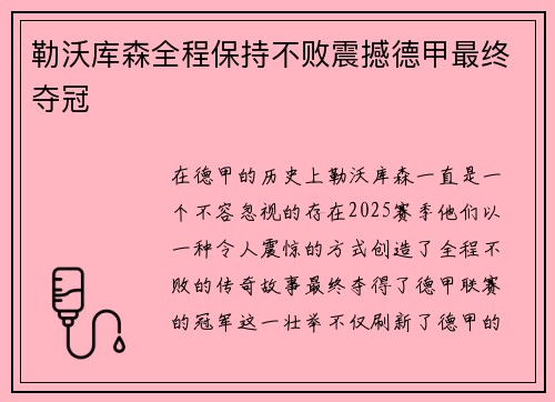 勒沃库森全程保持不败震撼德甲最终夺冠 勒沃库森全程保持不败震撼德甲最终夺冠